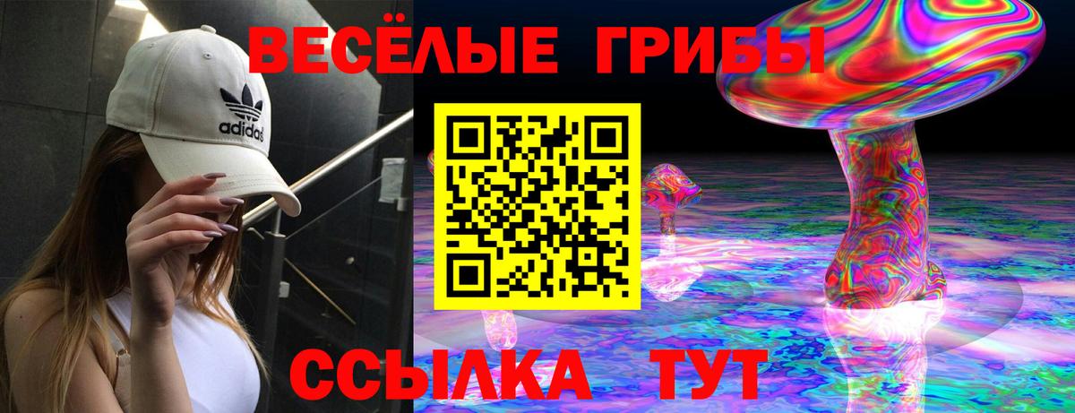 Псилоцибиновые грибы GOLDEN TEACHER  Вход с VPN  Ростов Великий  Псилоцибиновые грибы Psilocybe 